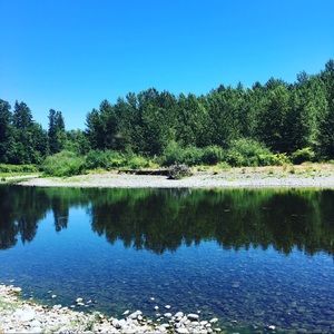 Meet your Posher, Joy